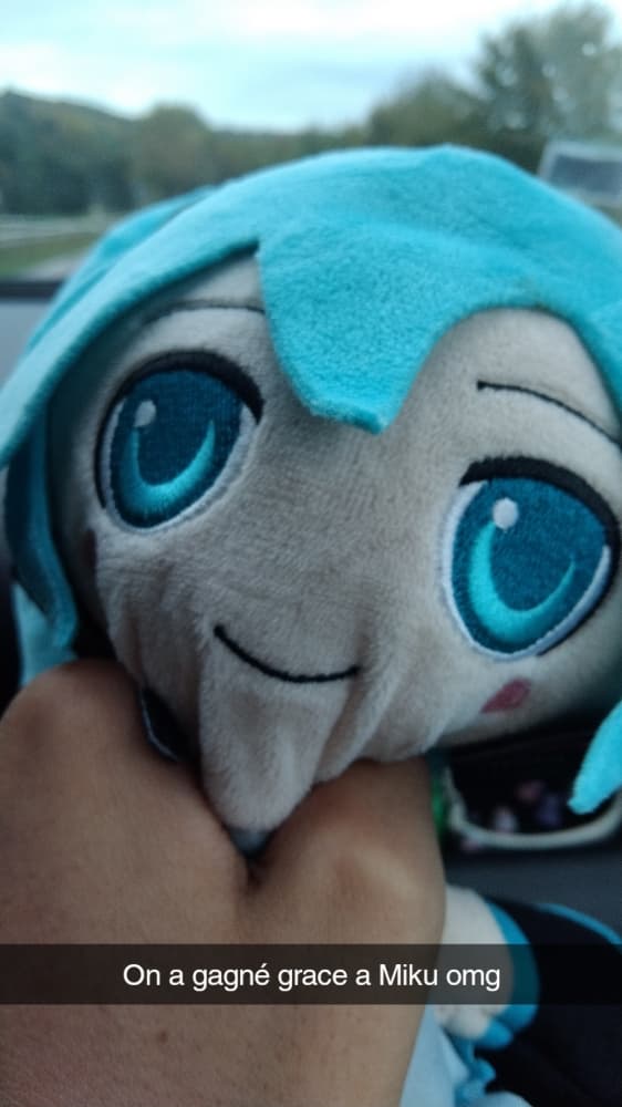 Mikudayooo - Photo 2