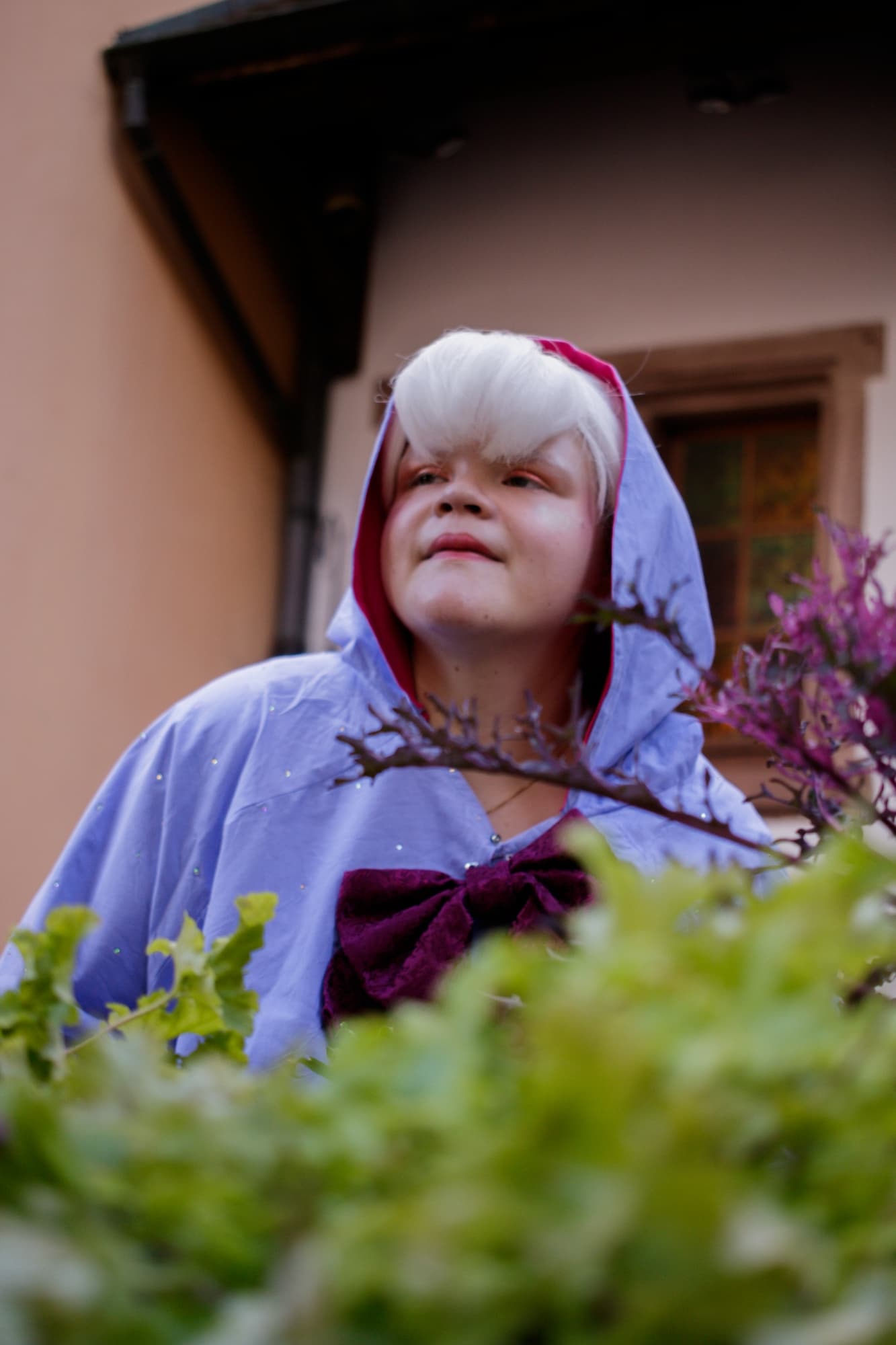 Marraine Cendrillon  - Photo 3