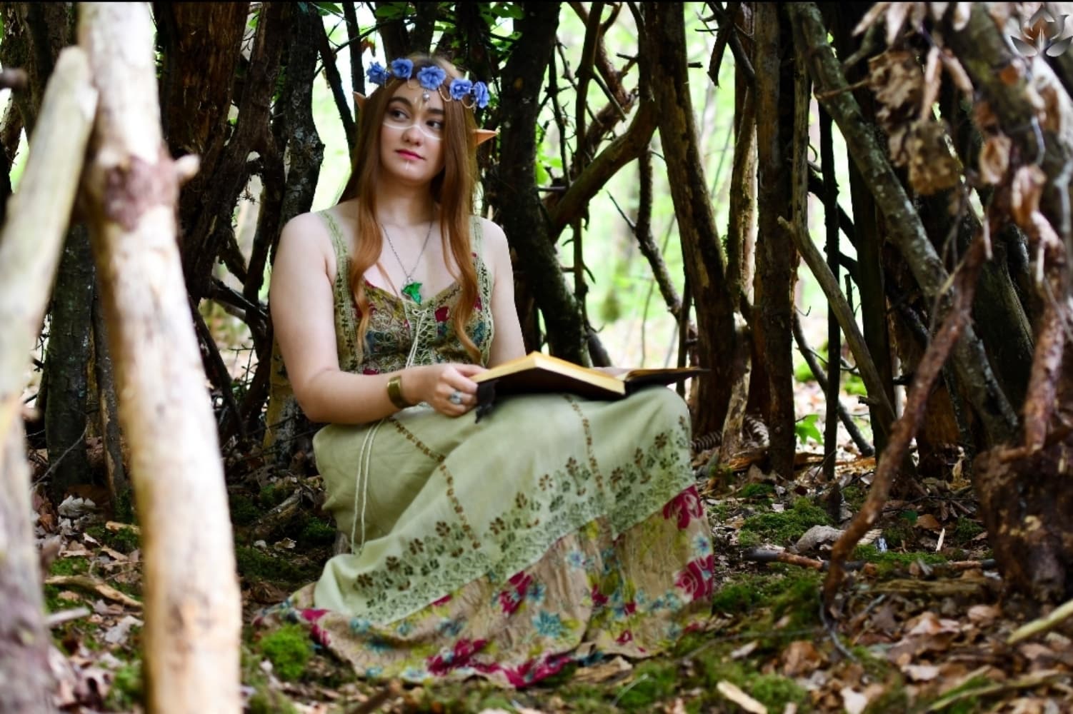 Elerinna broceliande