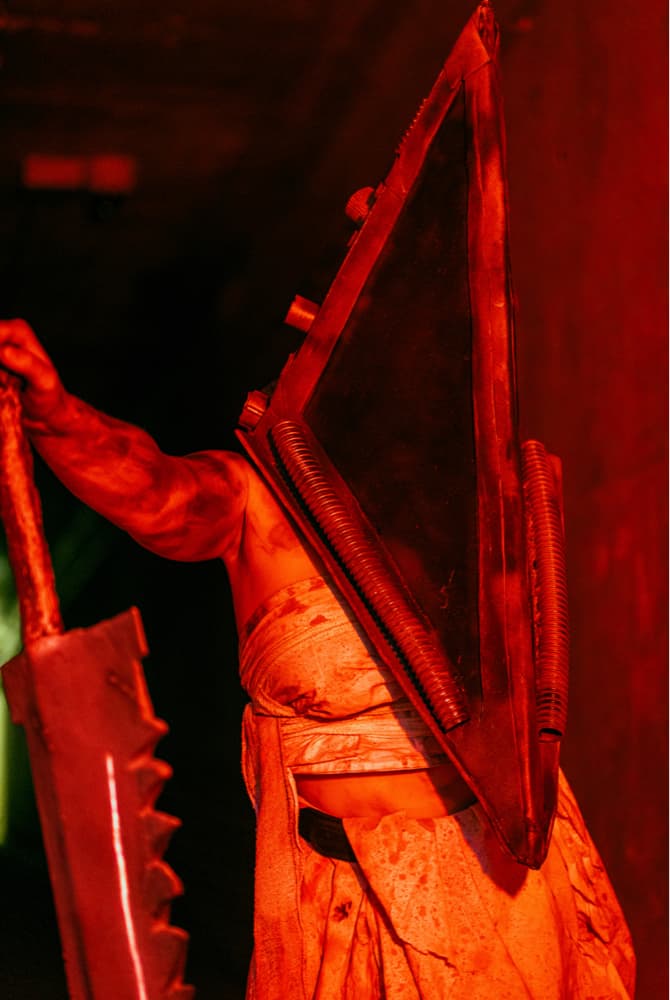 Pyramid head  - Photo 5