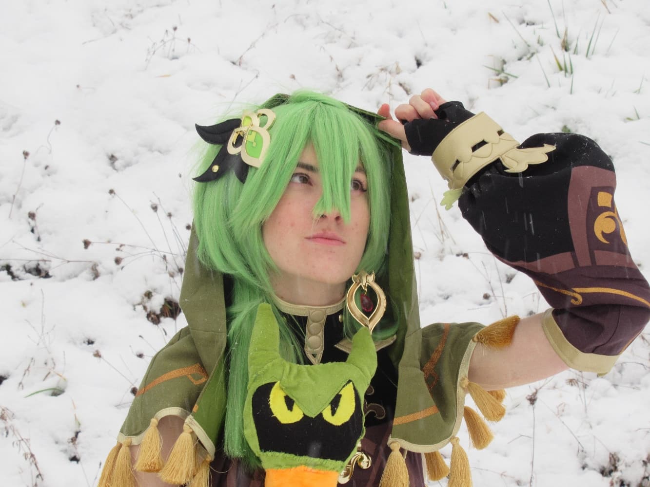 Collei (neige) - Photo 5