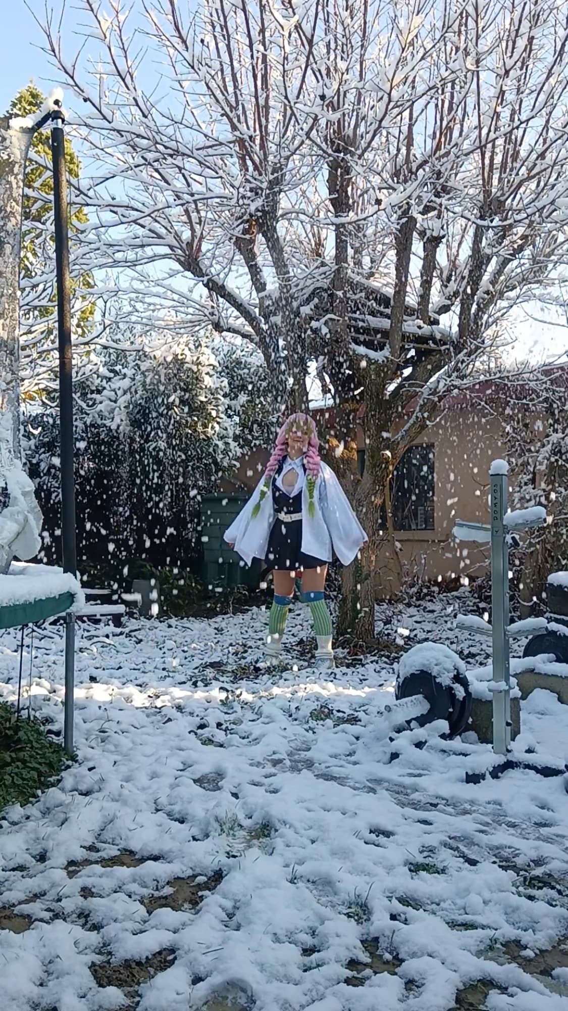 Mitsuri Kanroji - Photo 39