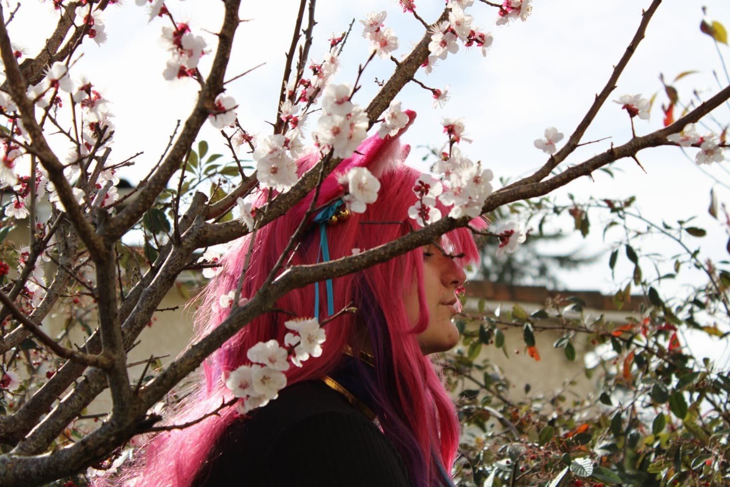 Ahri spirit blossom - Photo 6