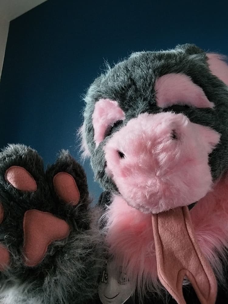 Chaloupinge  - Photo 1