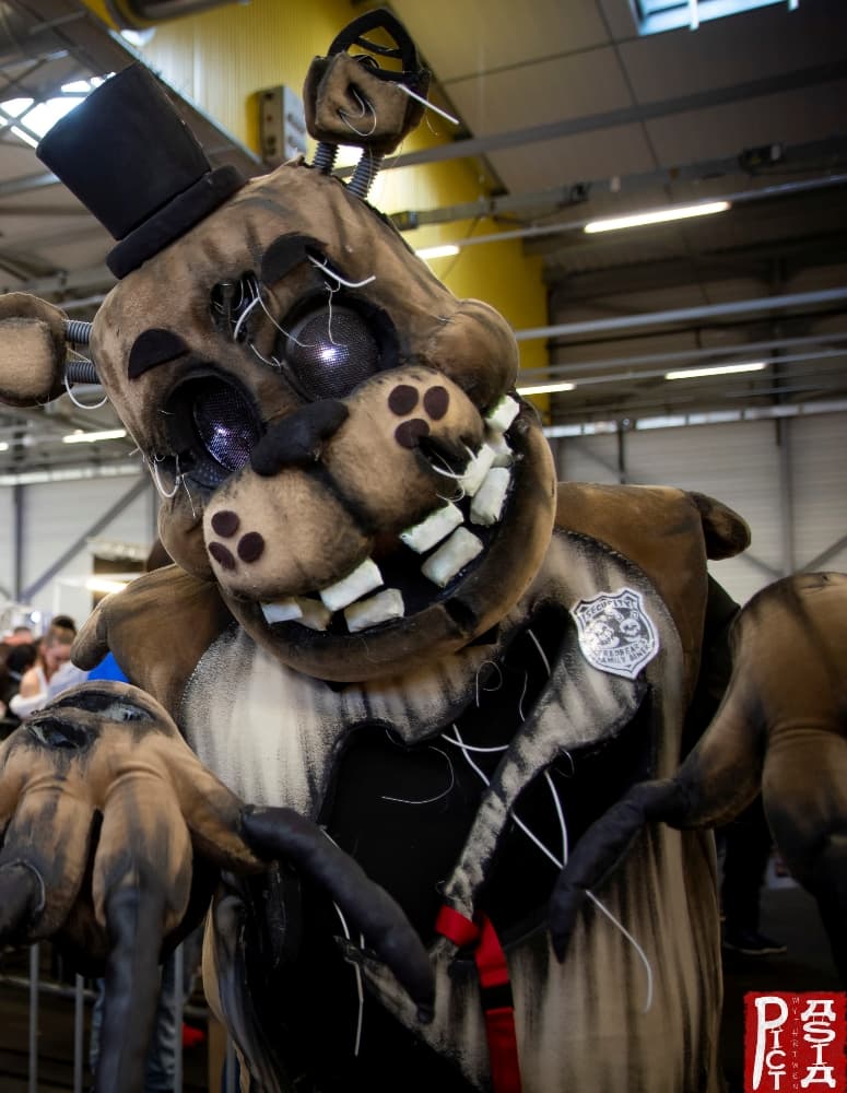 Freddy - Photo 4