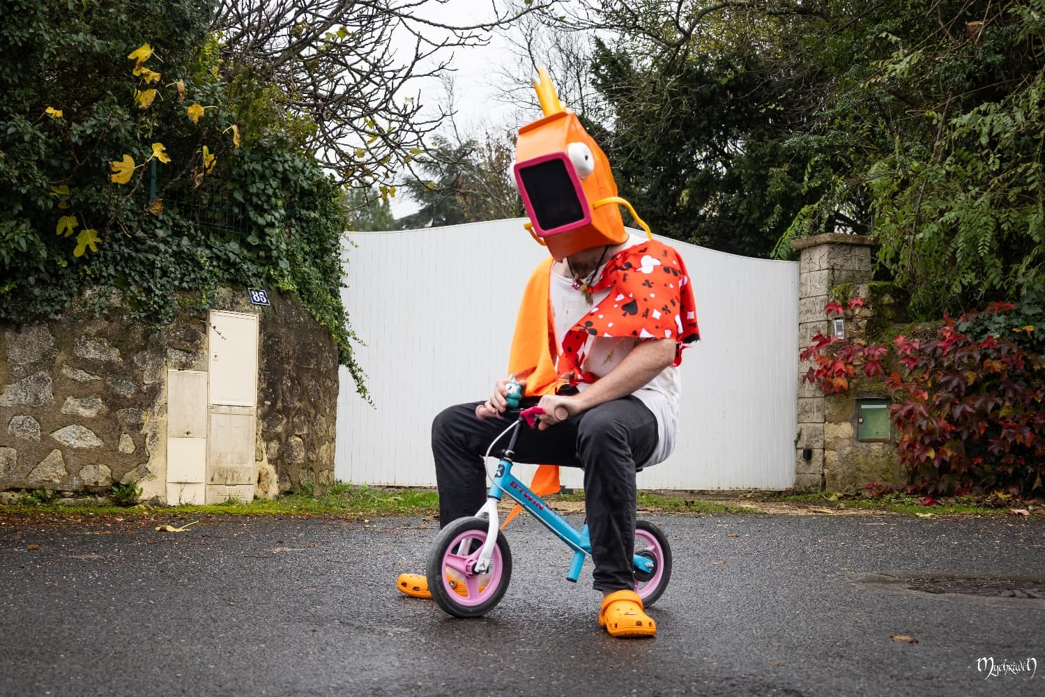 Gare à Pict'Asia - Photo 3