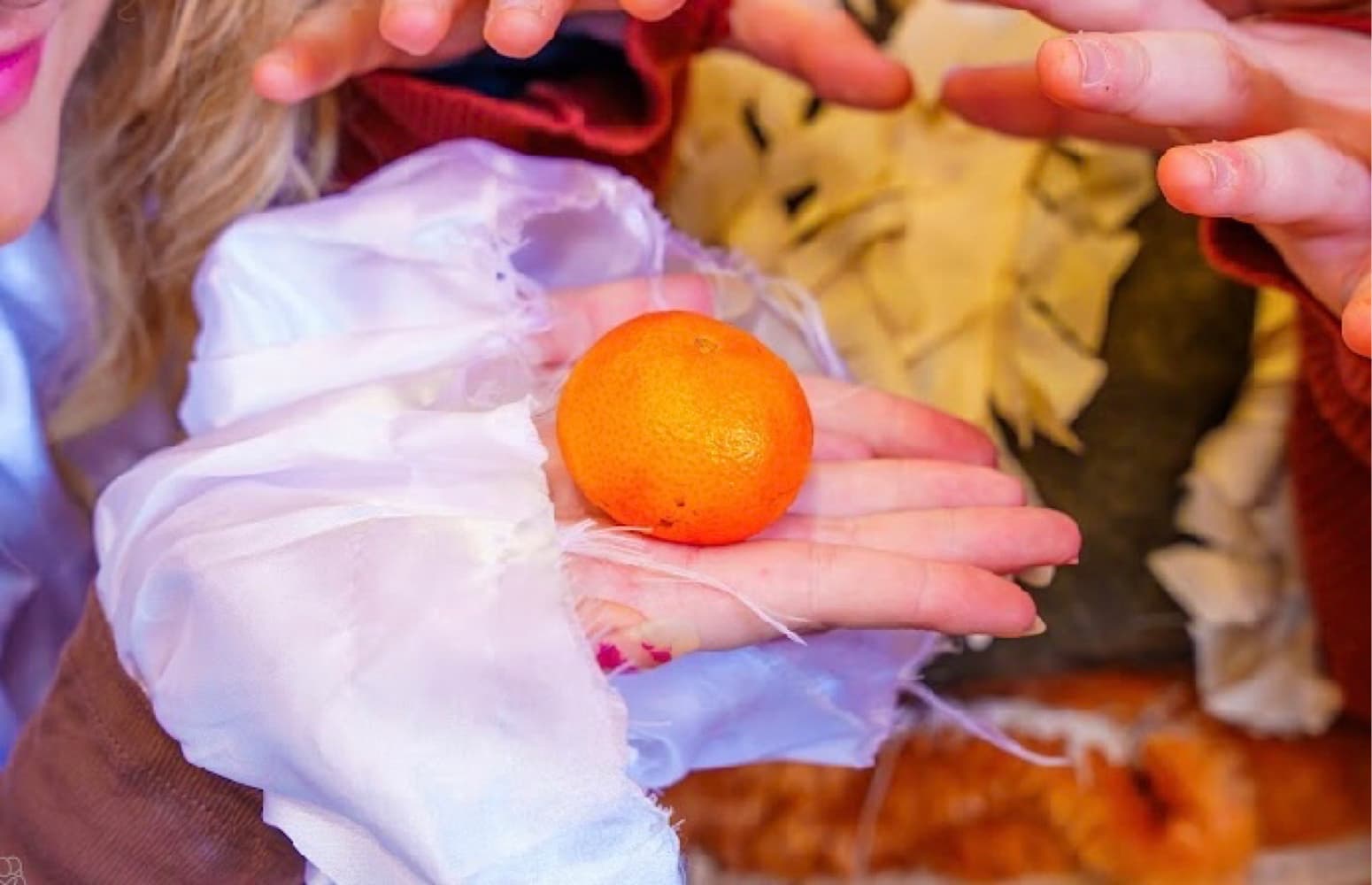 Clémentine - Photo 55