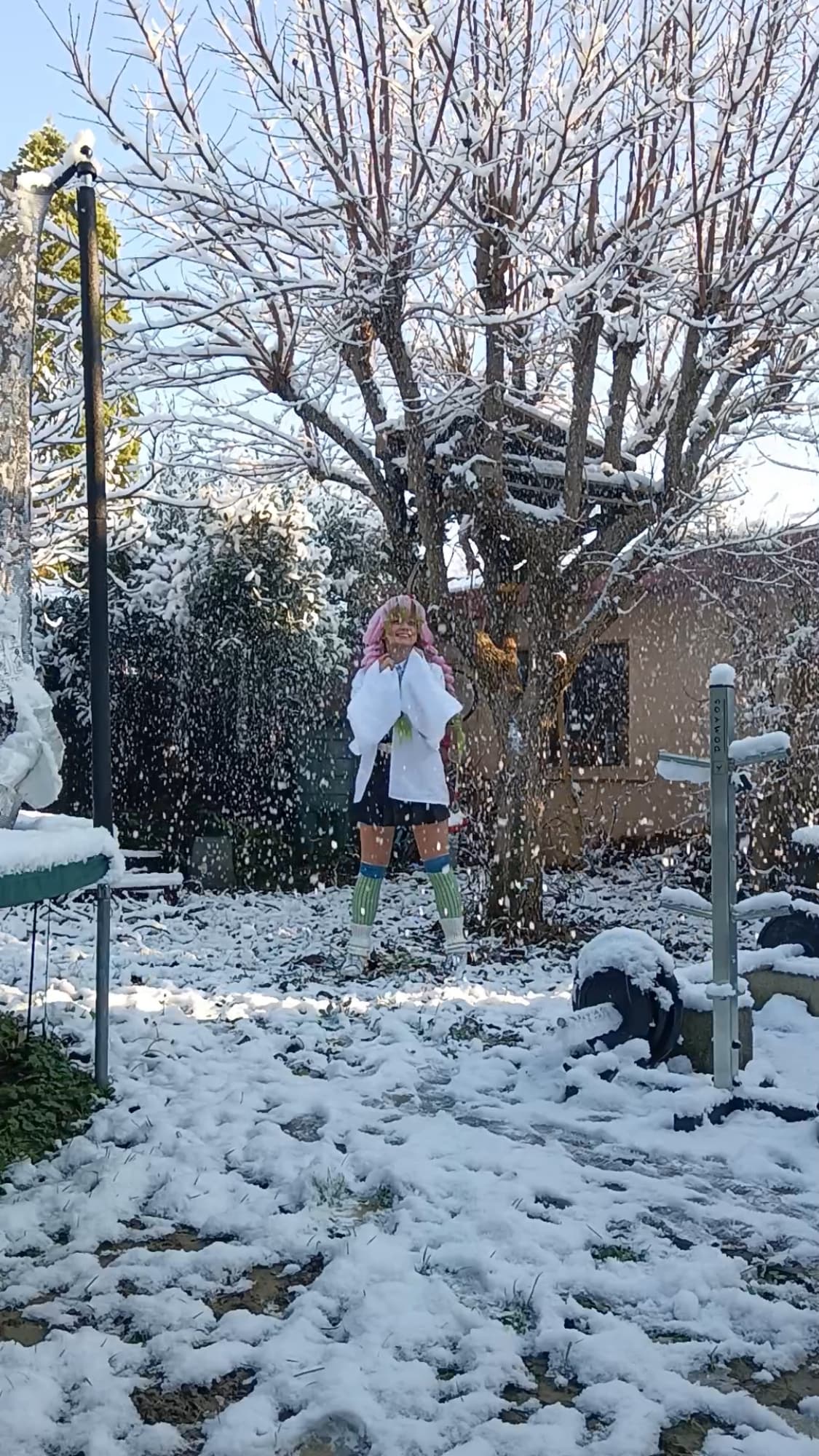 Mitsuri Kanroji - Photo 46