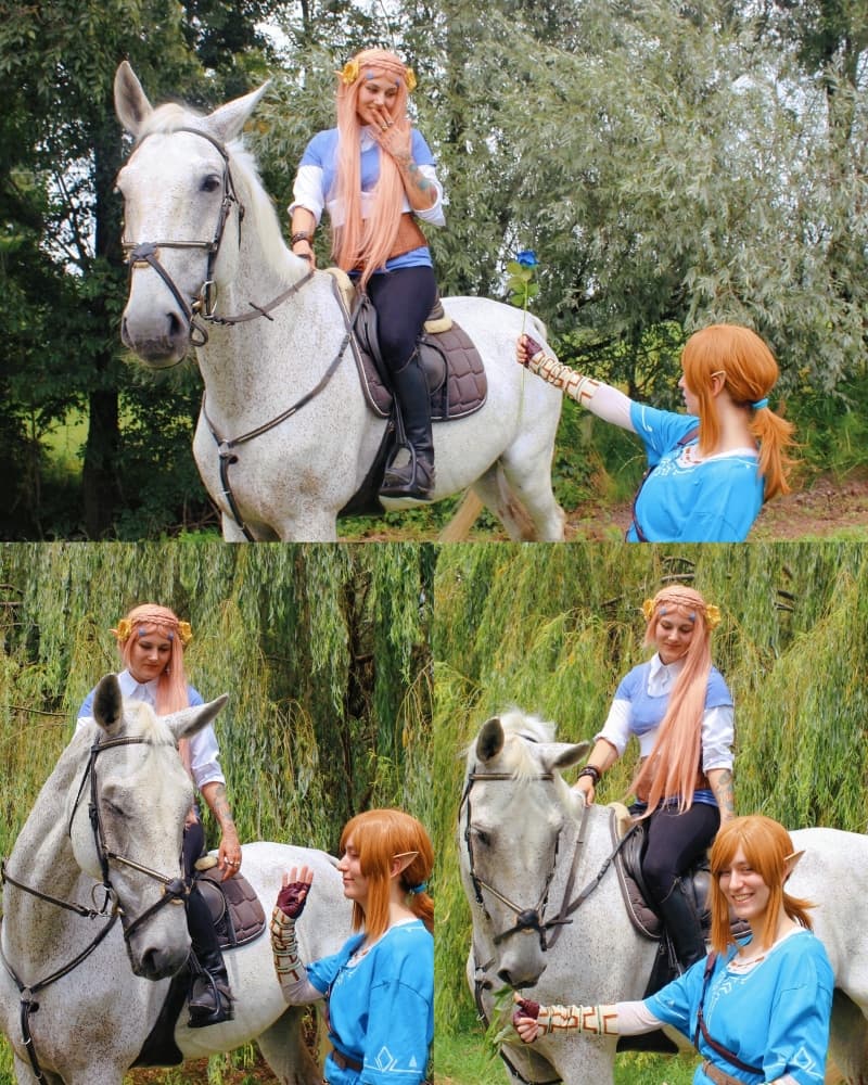 Link (Botw) - Photo 5