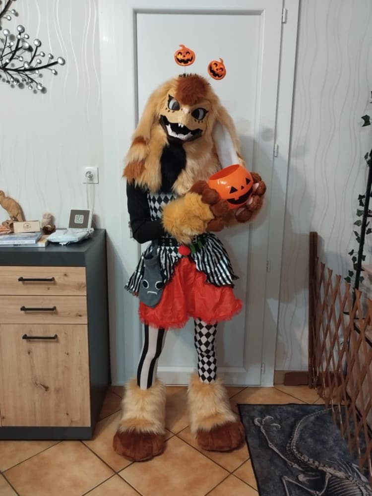 Photos Tapioca - Photo 4