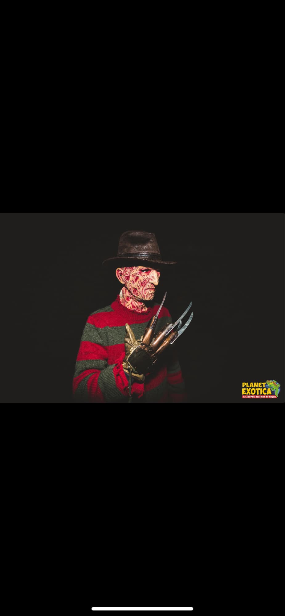 freddy krueger  - Photo 32