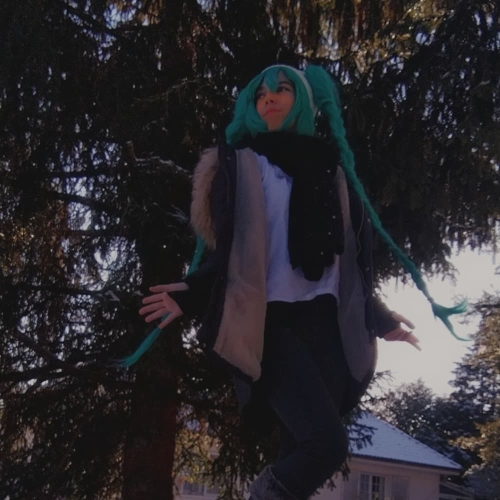 Miku snow casual cos