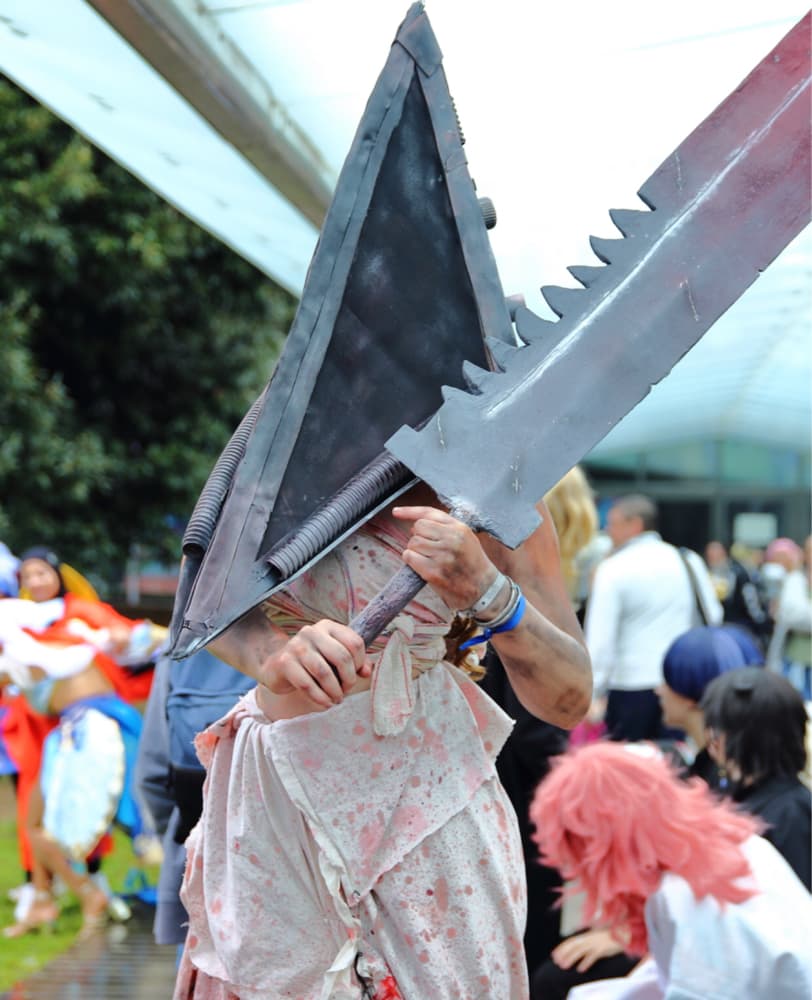 Pyramid head  - Photo 7