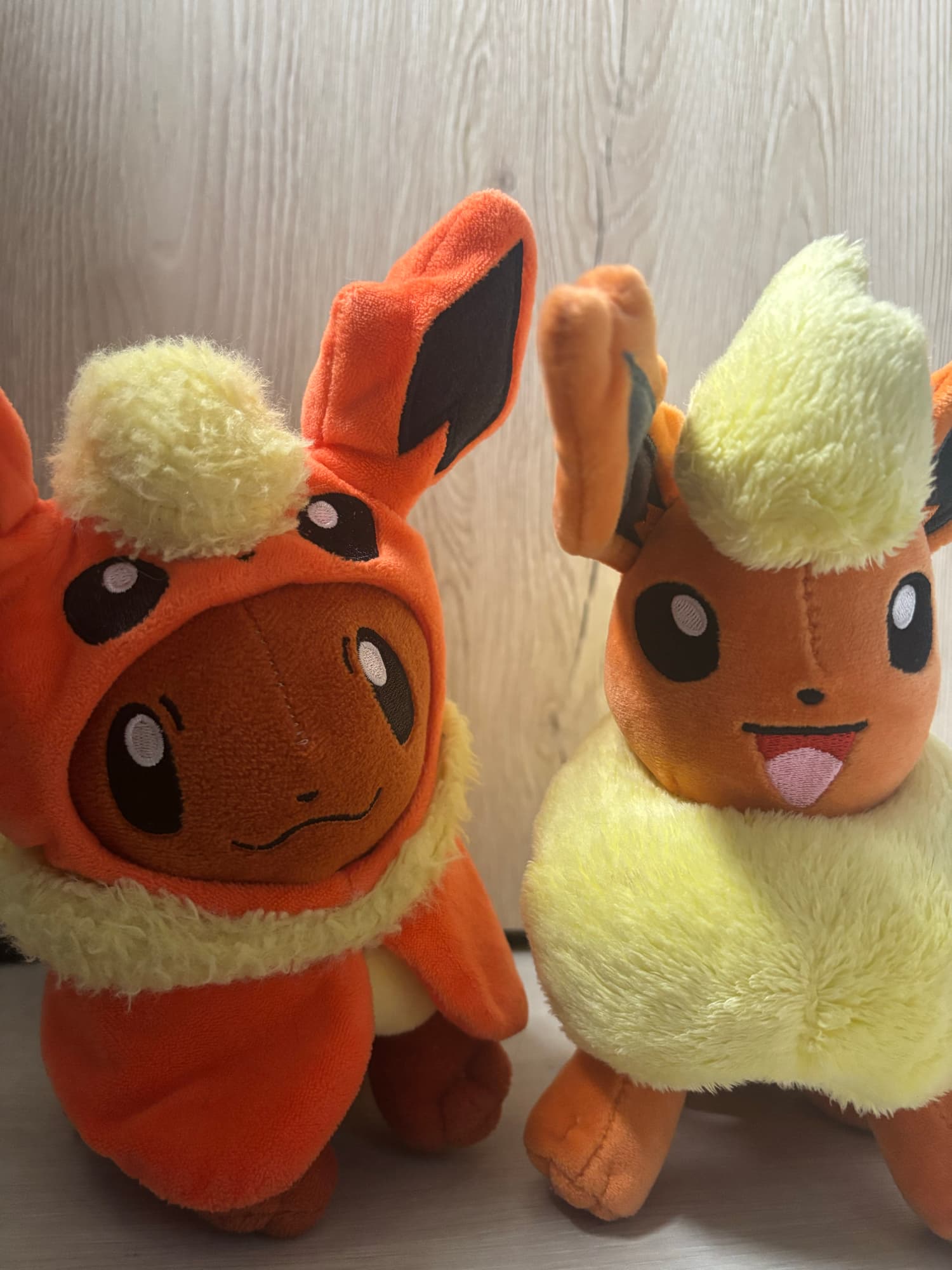 Evoli en Pyroli  - Photo 16