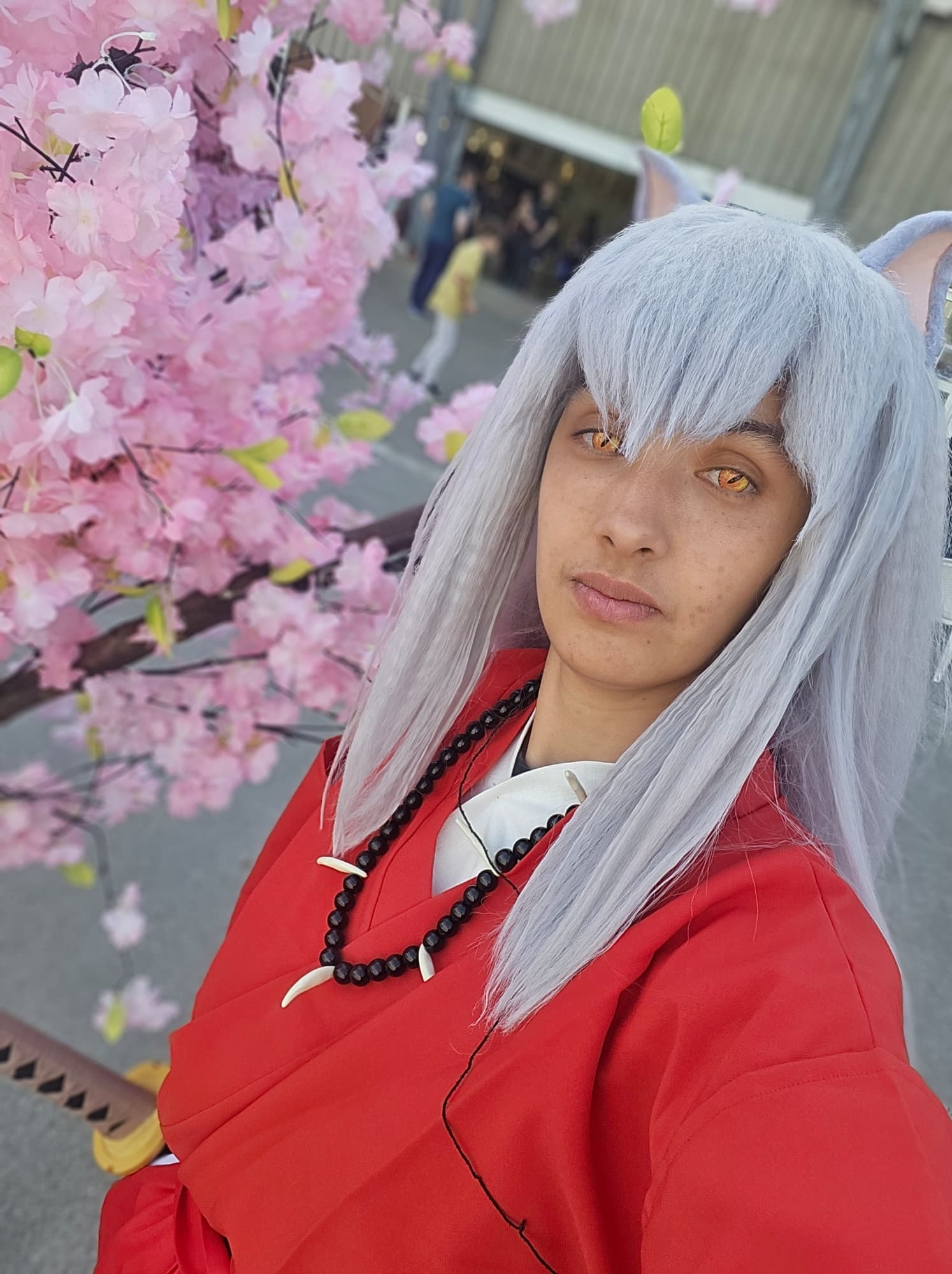 Inuyasha  - Photo 69