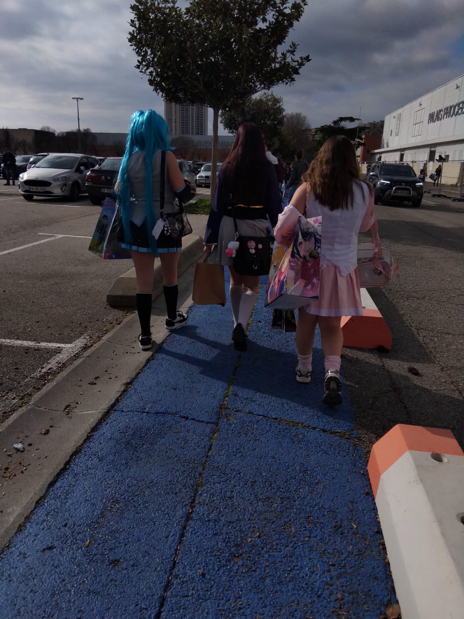 Japan Expo ruby - Photo 6