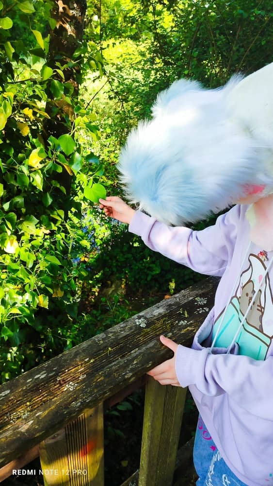 Debut du printemps  - Photo 8