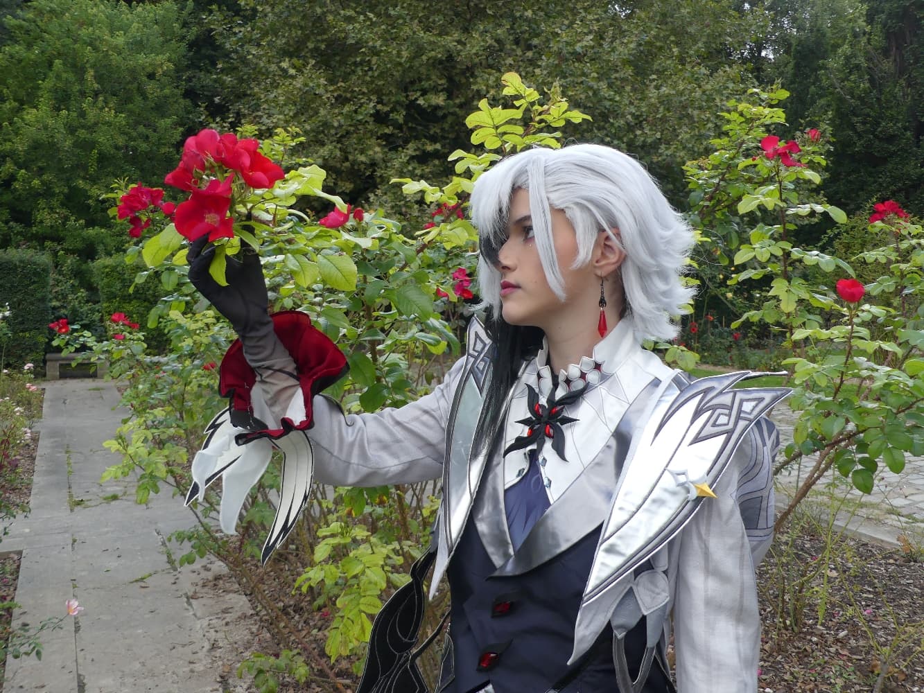 Arlecchino - Photo 6