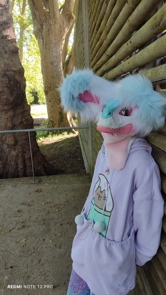 Debut du printemps  - Photo 2