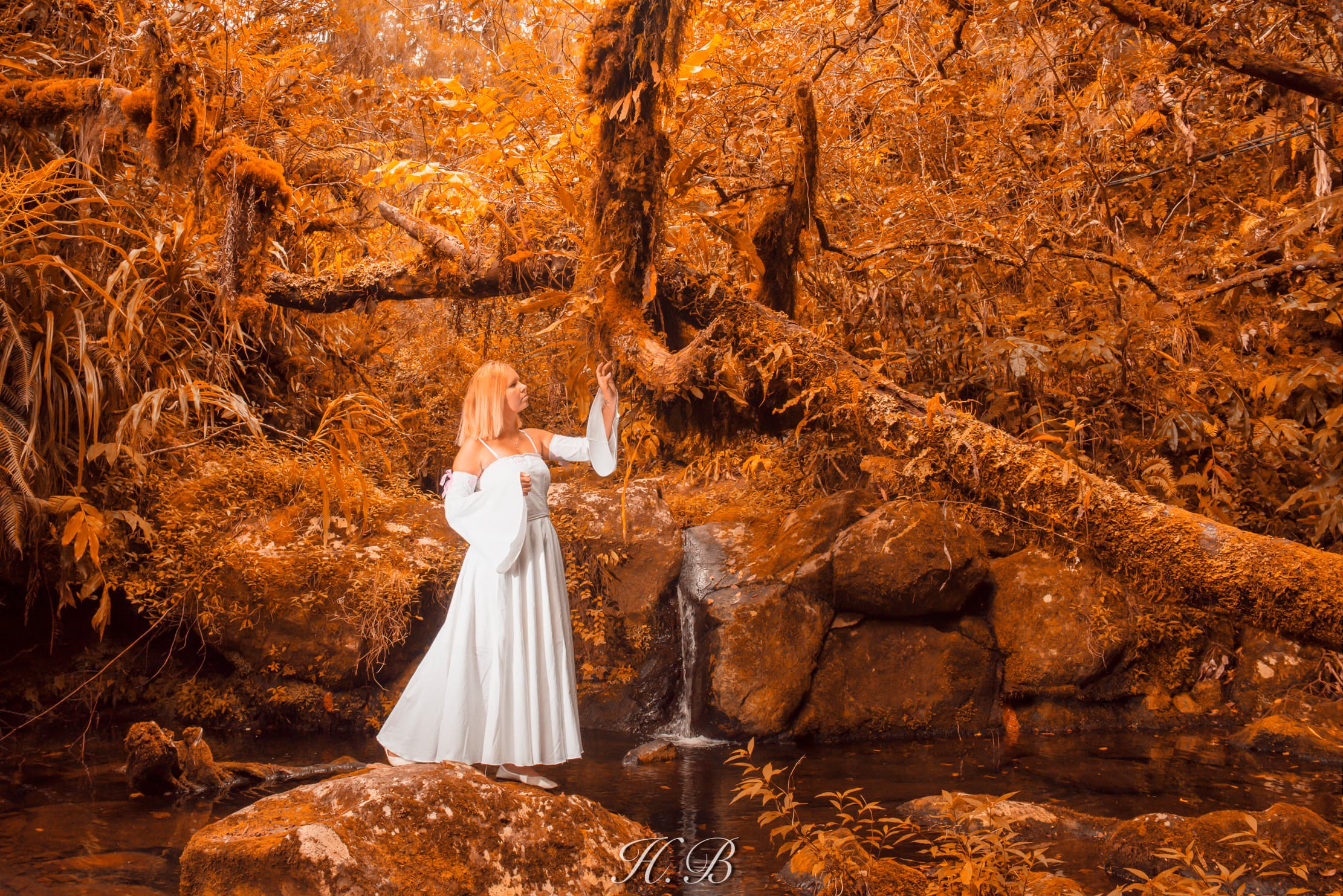 Shooting Nature - Photo 7