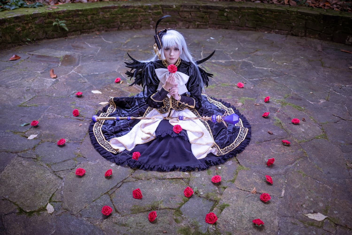 Suigintou roseraie  - Photo 3