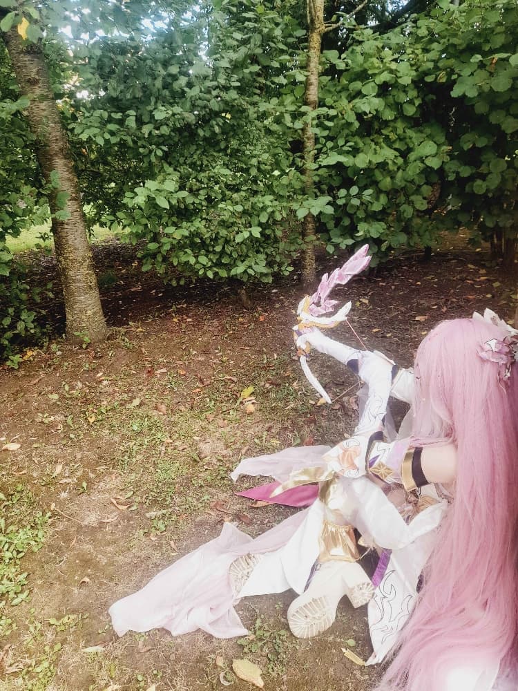 Elysia (Bailleul) - Photo 1