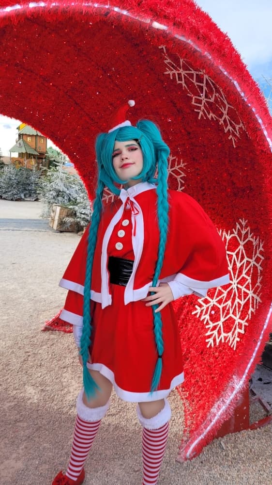 Miku - Photo 18