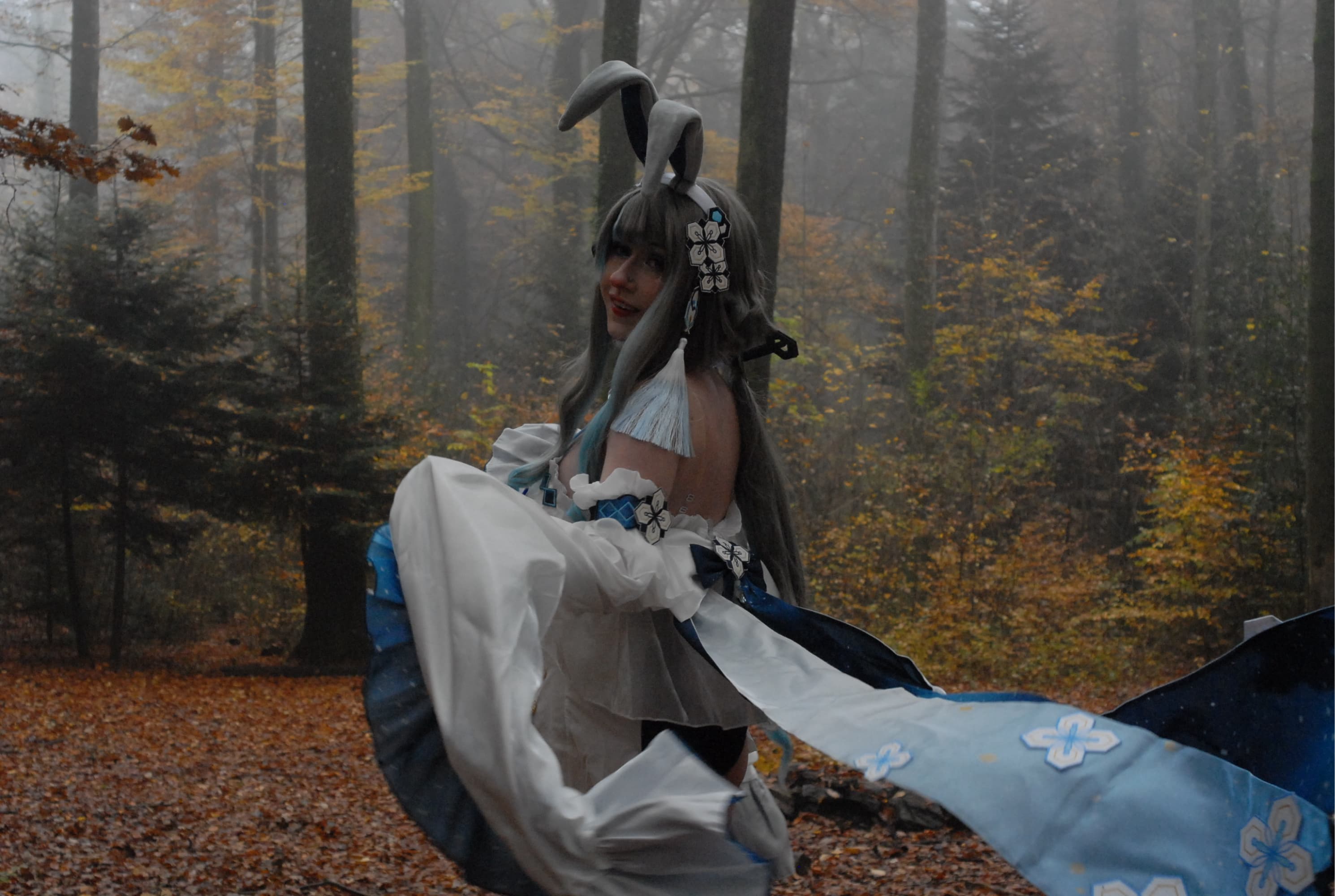 Guizhong Bunny - Photo 3