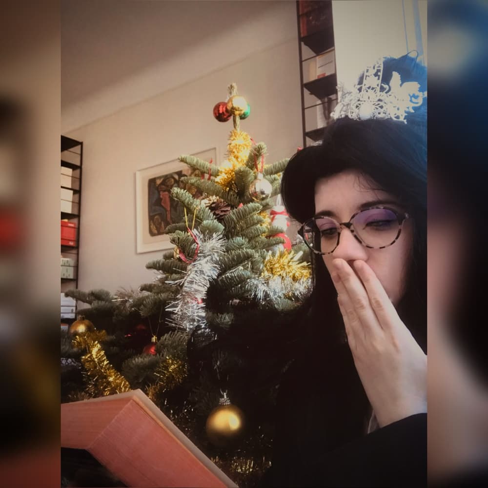 christmas (xl/cwn/lz - Photo 21