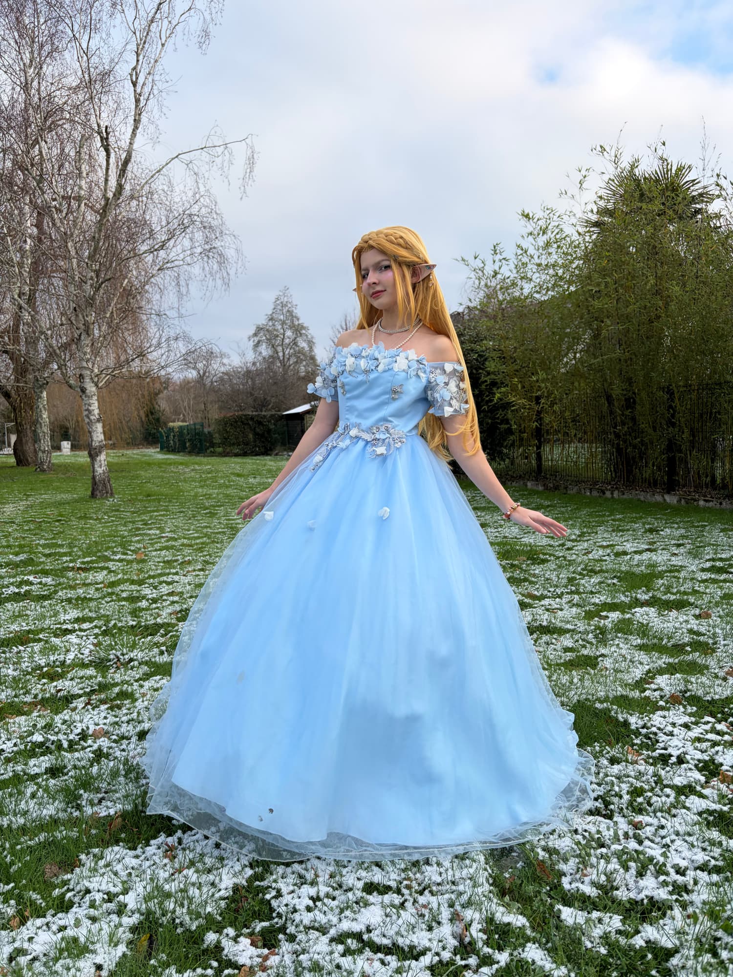 Zelda snow  - Photo 2