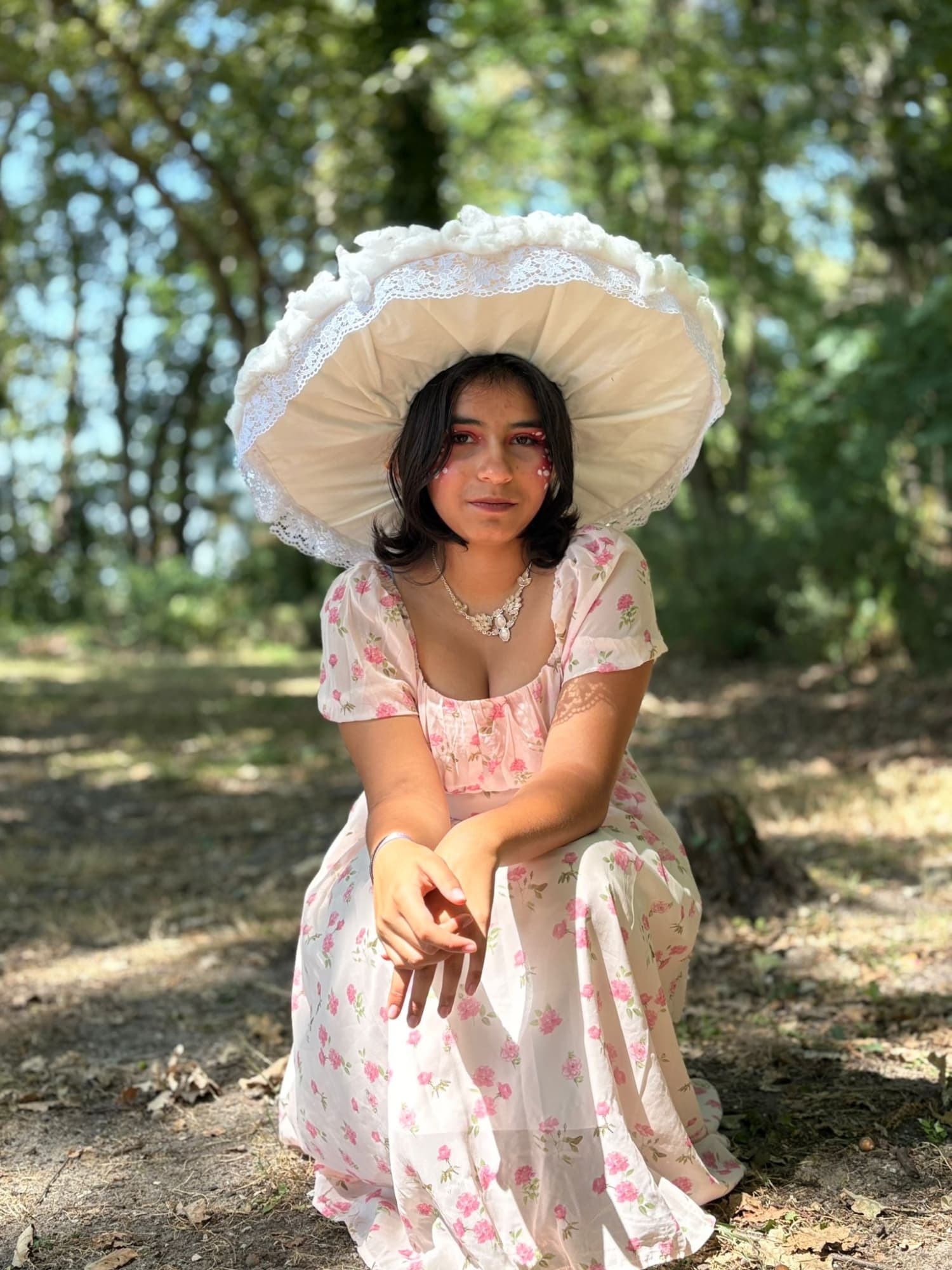 Champignon féerique  - Photo 7