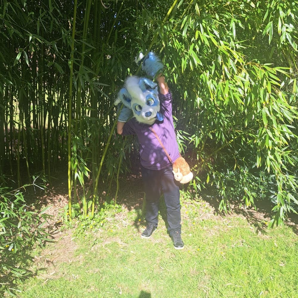 Titan (V2) - Photo 4