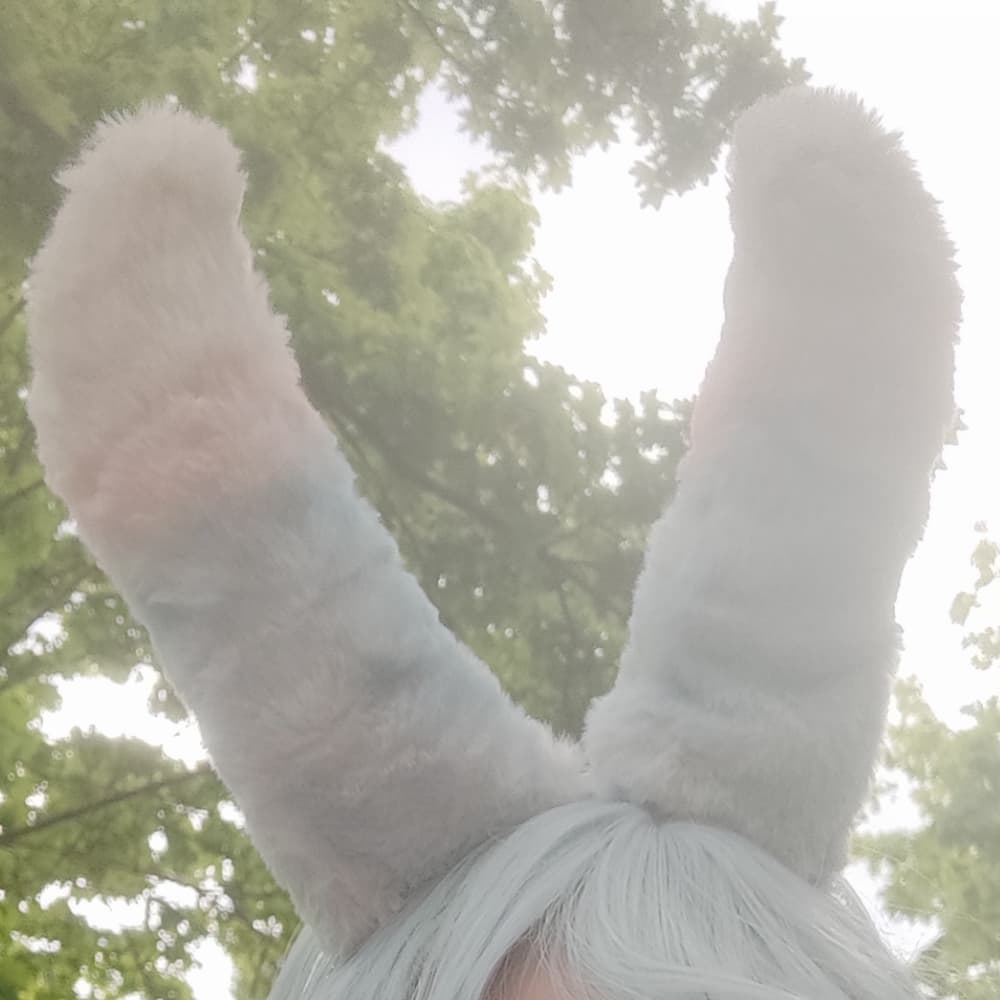 Sigewinne's ears DIY