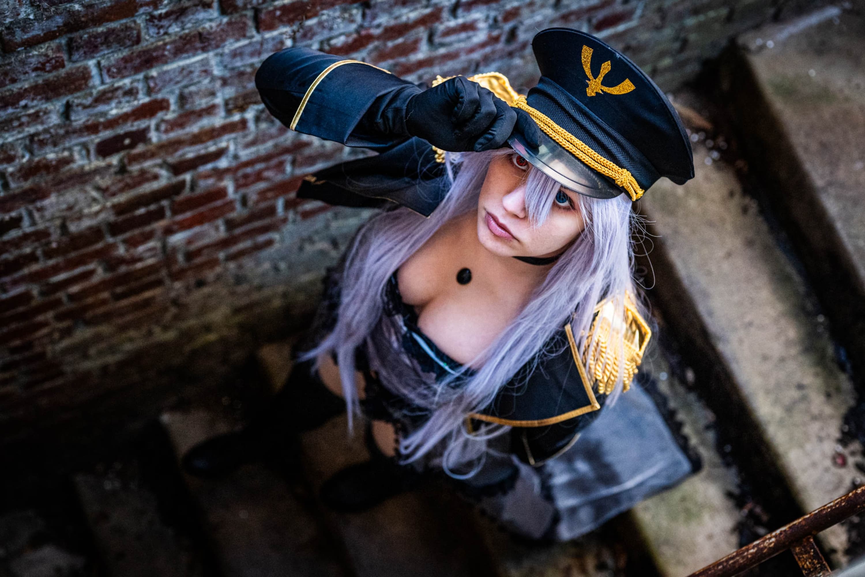 Black lobelia  - Photo 11