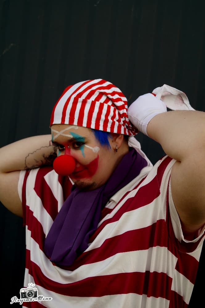Buggy the Clown  - Photo 6