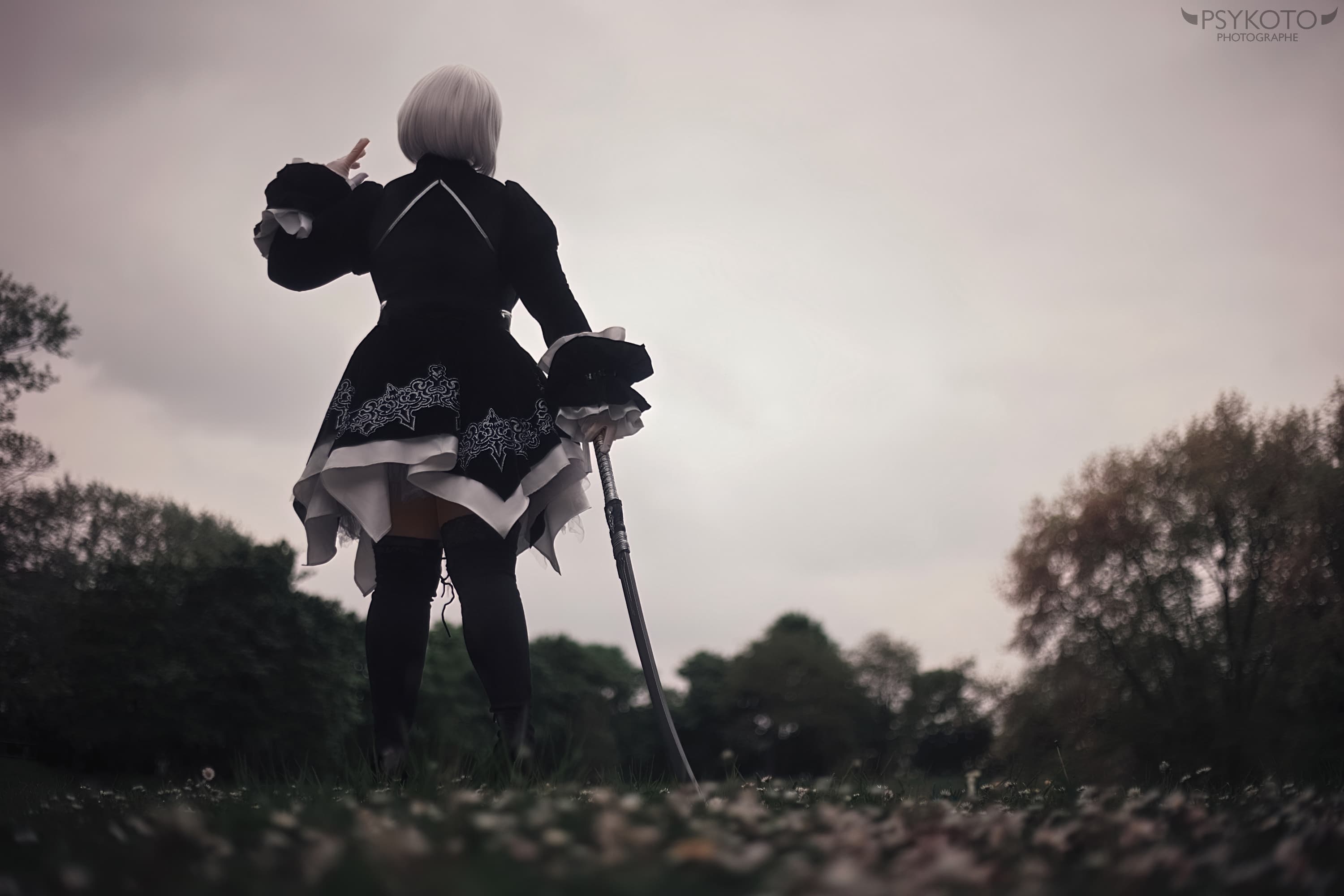 A2 Pearl Harbor Desc - Photo 1