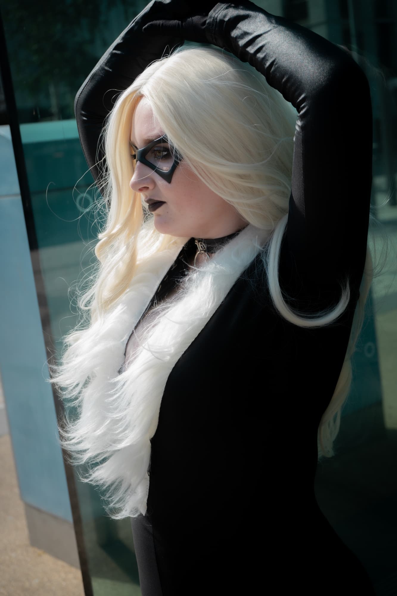 Black cat  - Photo 1