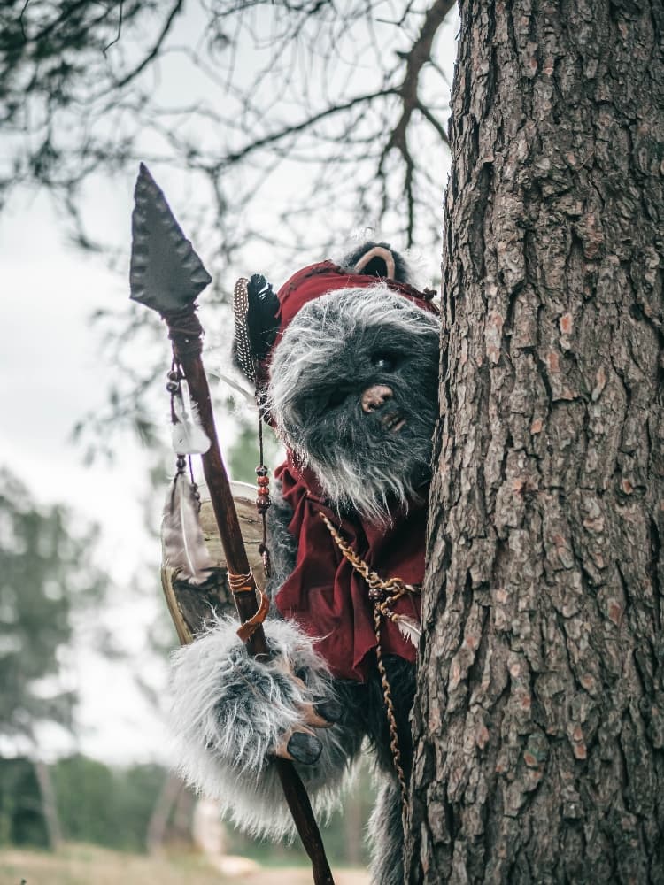 Forest Shooting - Photo 8