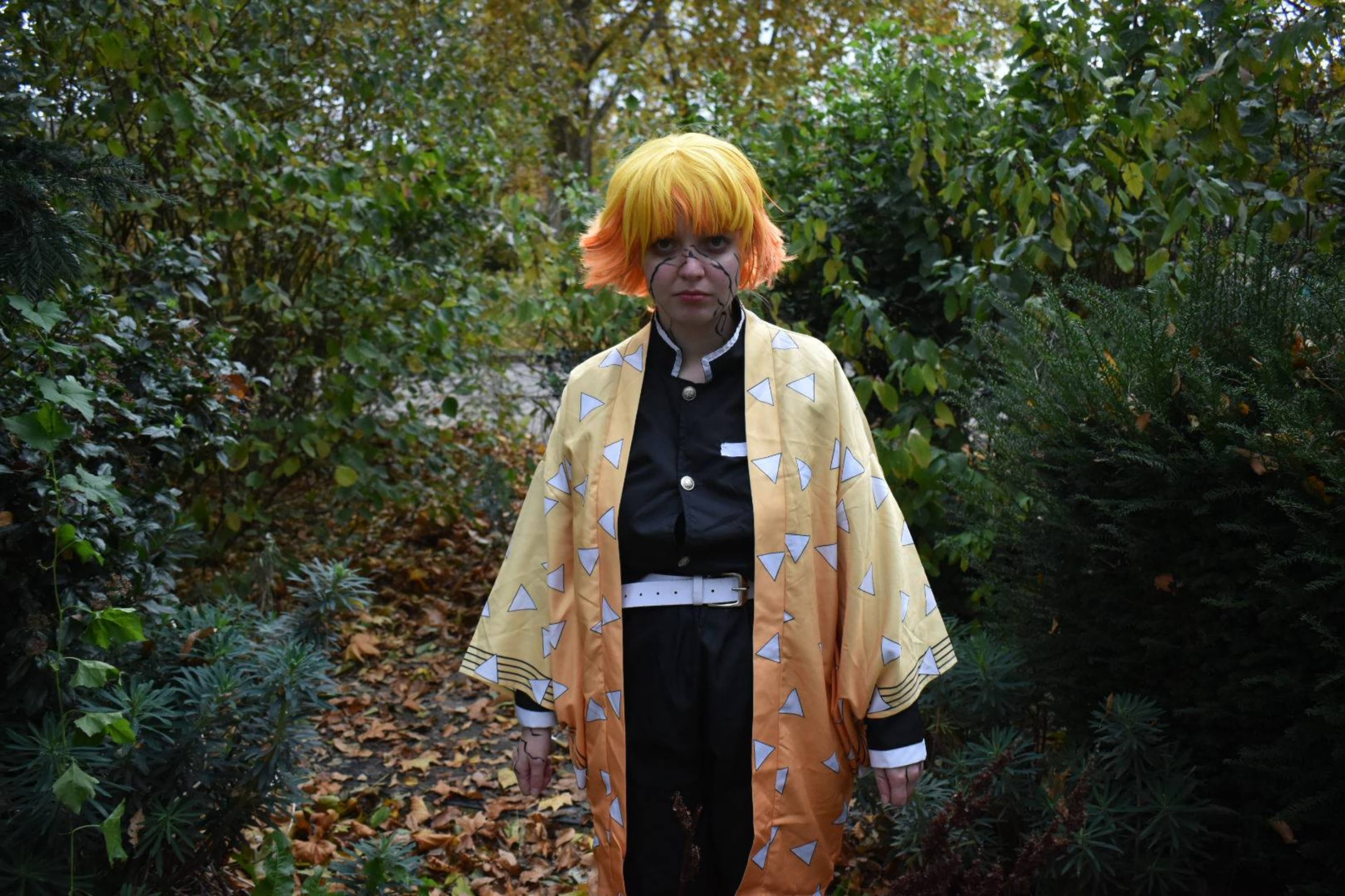 Zenitsu Agatsuma - Photo 14