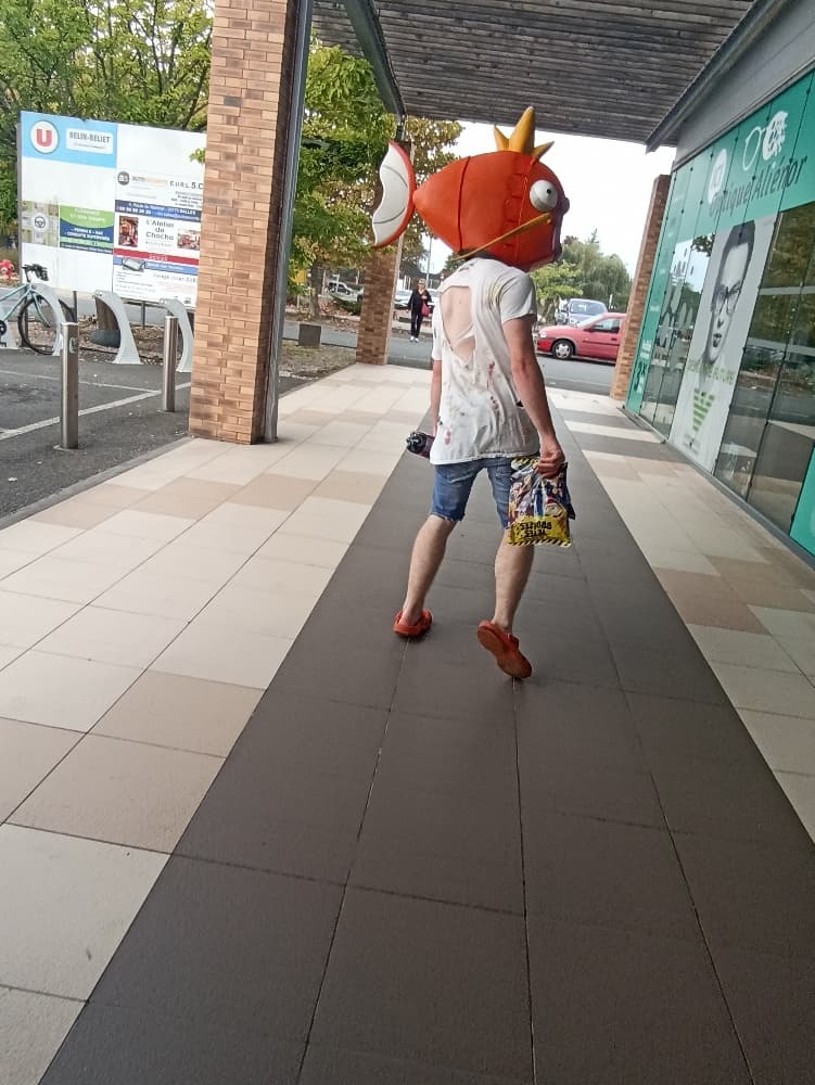 Magicarpe Zombie  - Photo 7