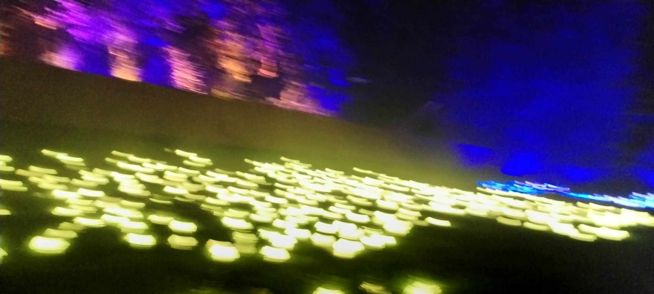 La forêt interdite - Photo 44