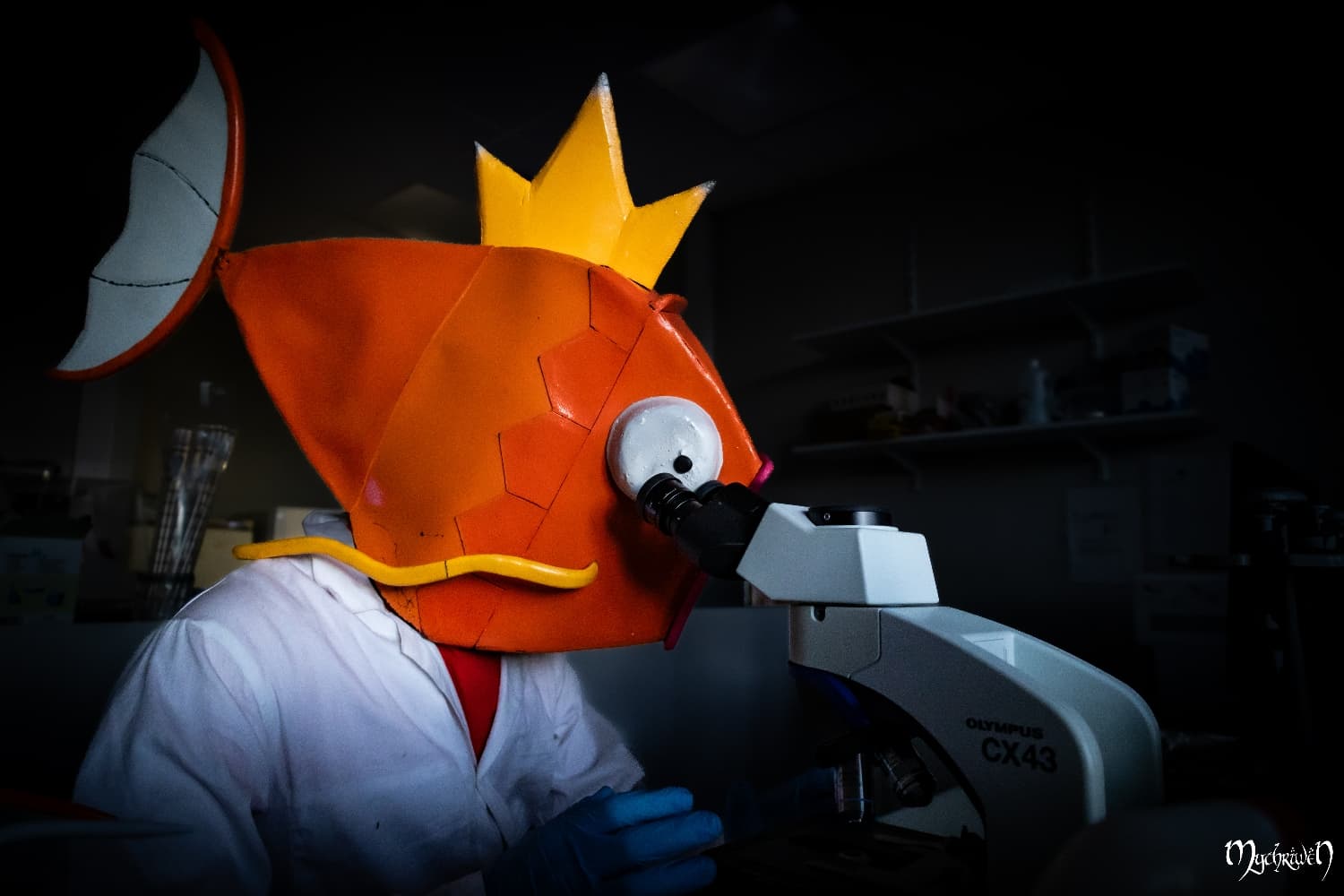Professor Magicarpe  - Photo 2