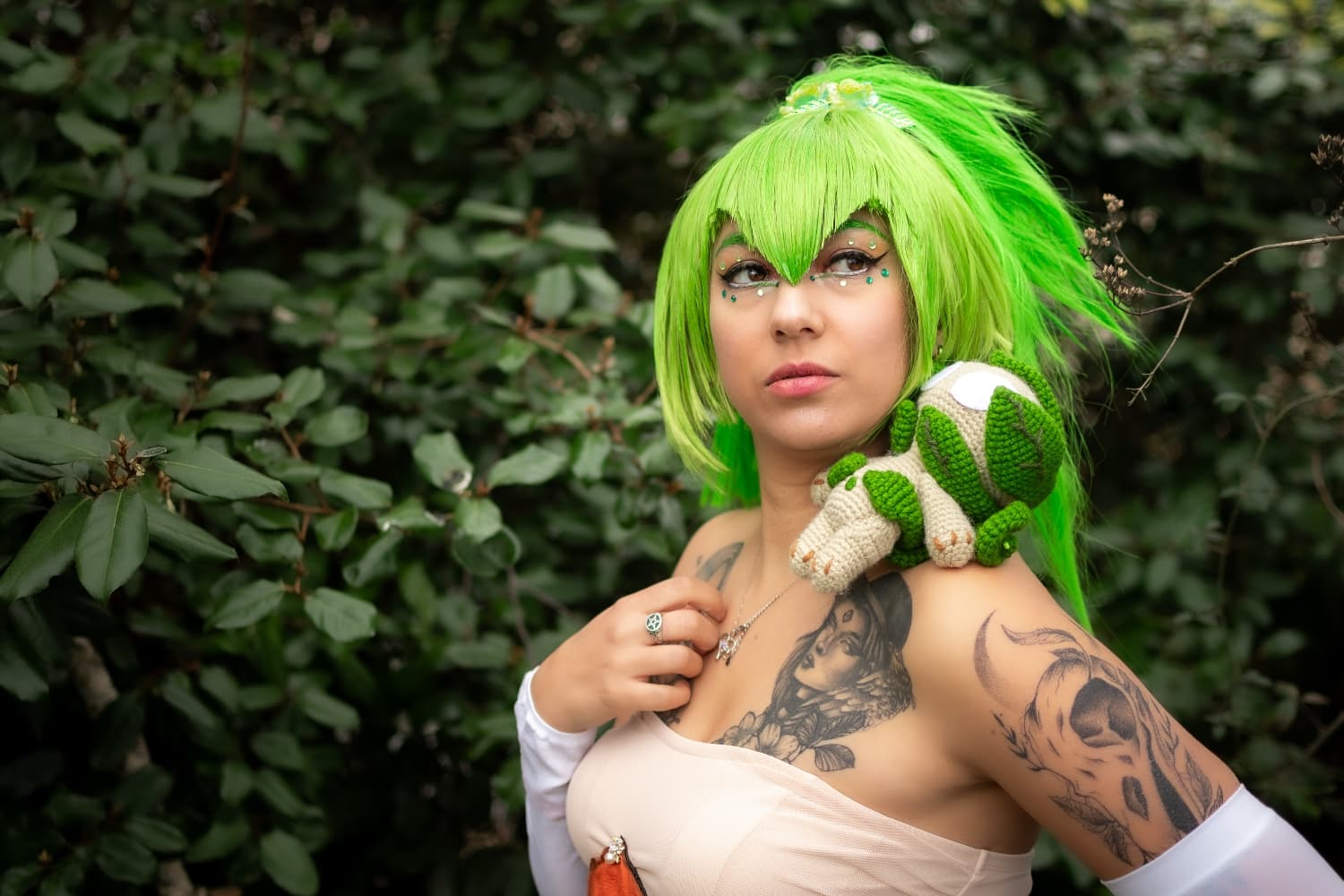 Amalia dofus - Photo 3