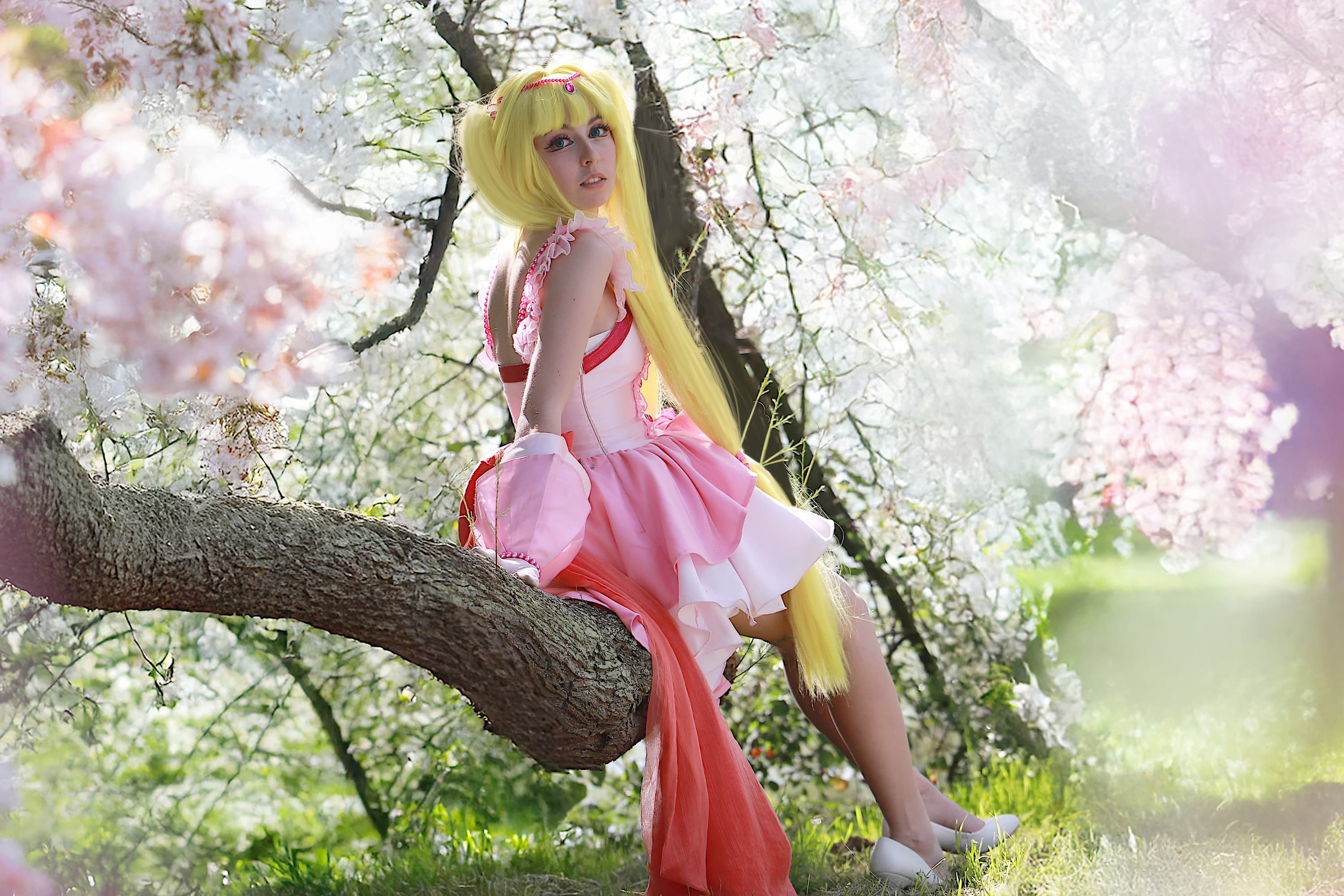 Lucia nanami - Photo 1