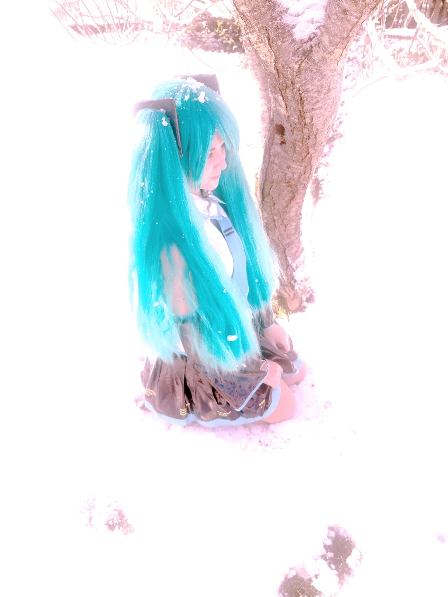 Hatsune Miku - Photo 2