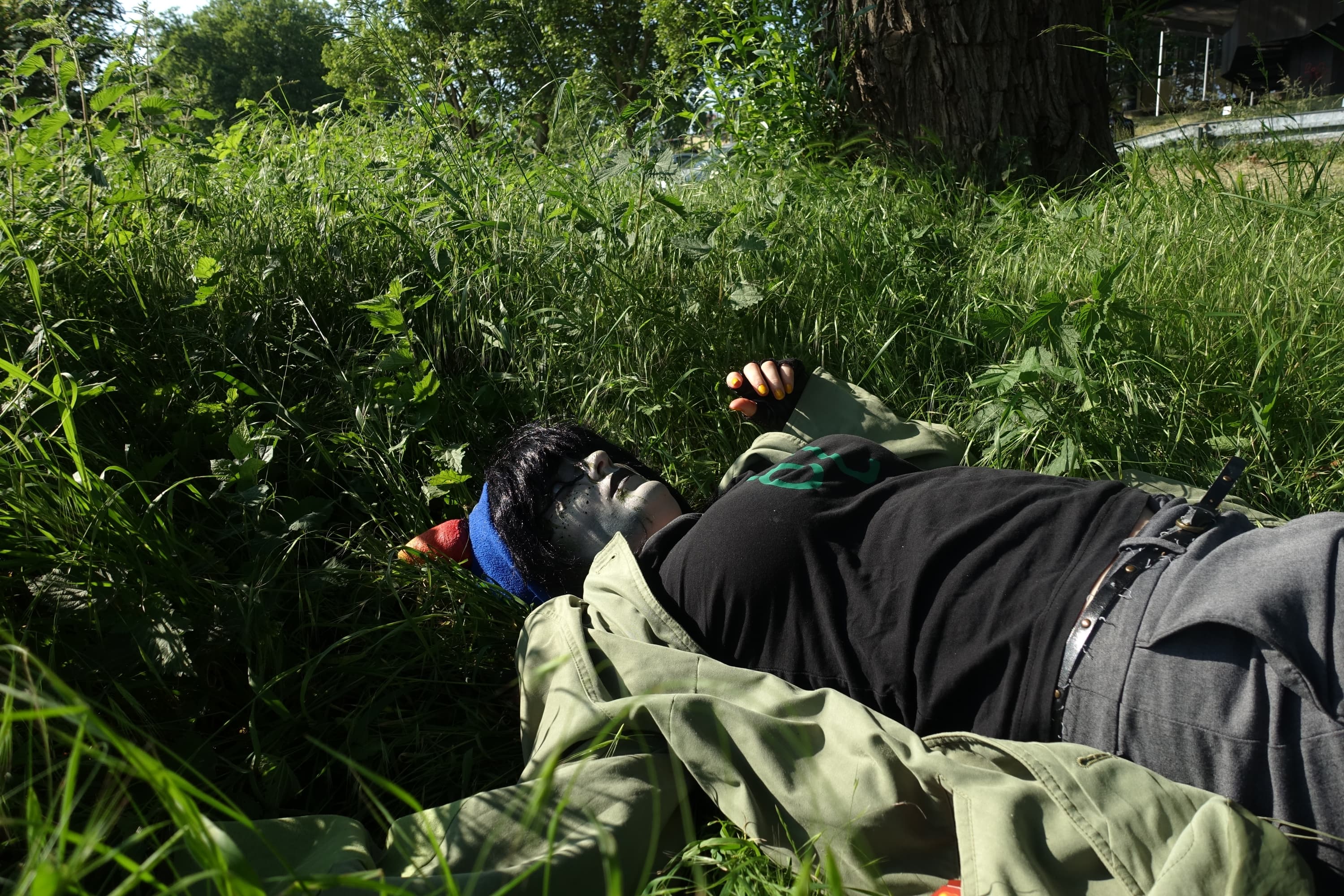 Nepeta Leijon - dead - Photo 11
