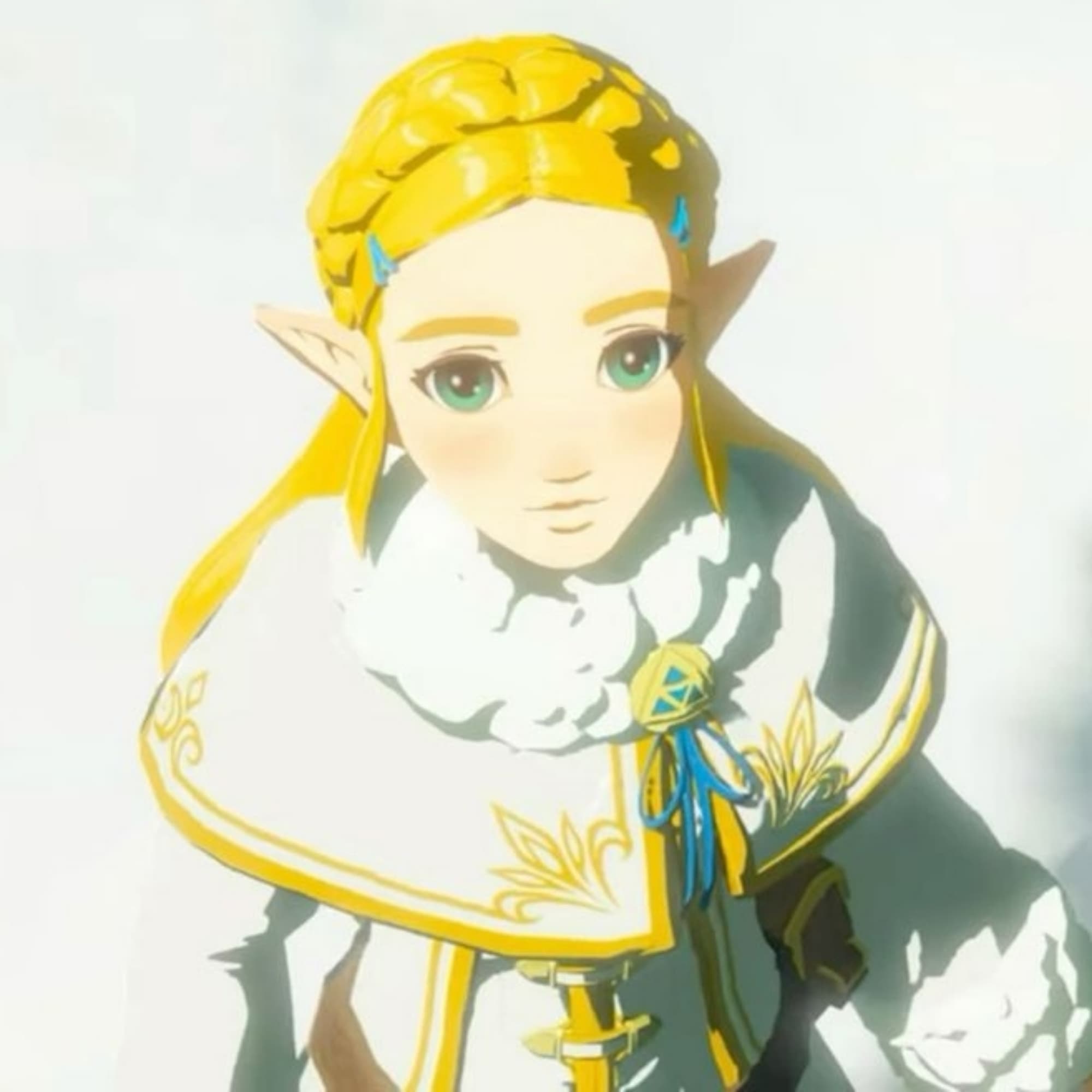 Zelda winter outfit