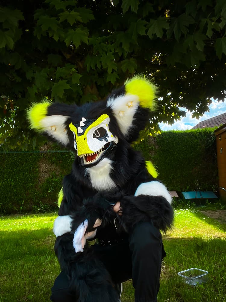 Photos Félix - Photo 2