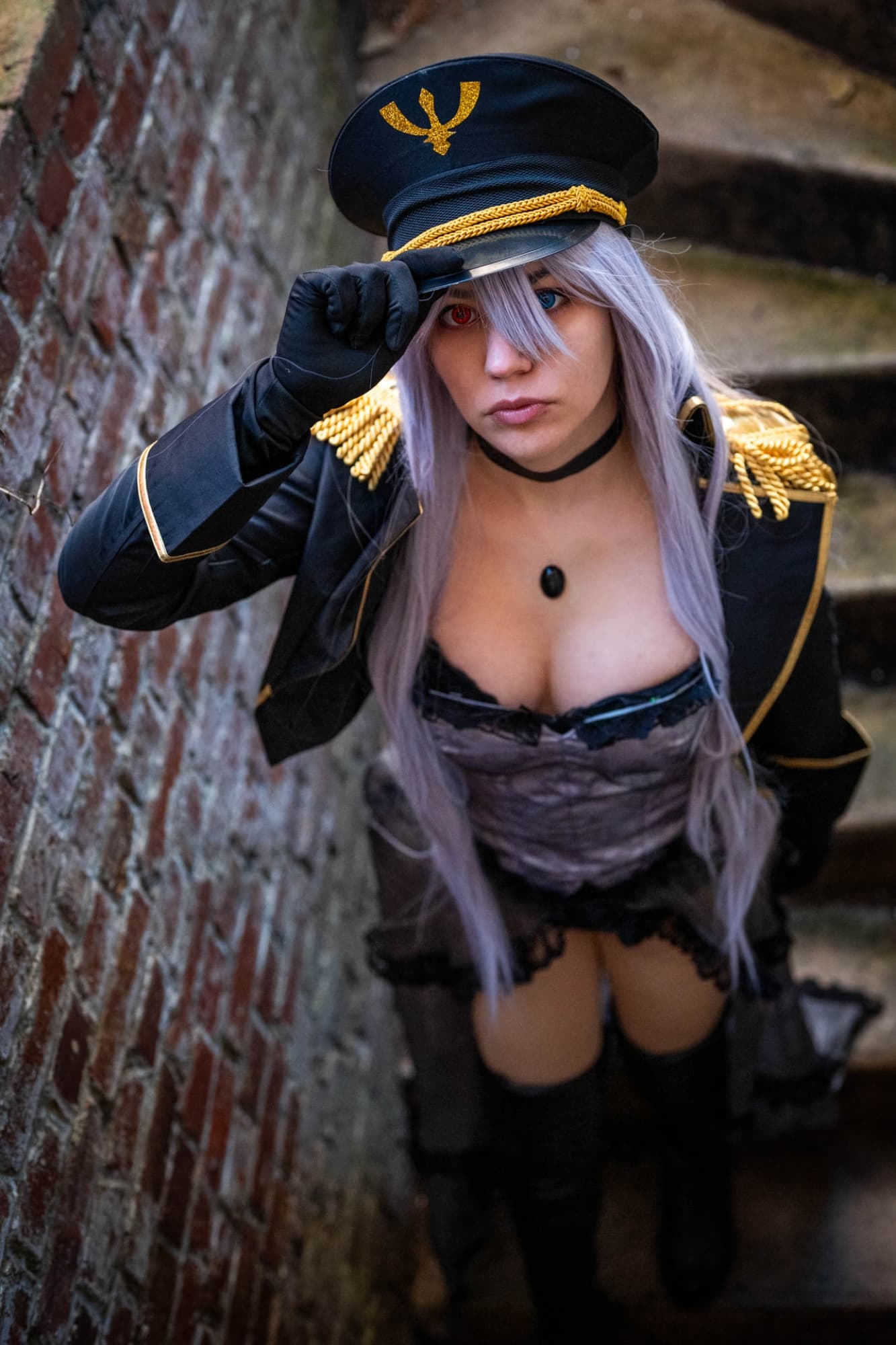 Black lobelia  - Photo 5