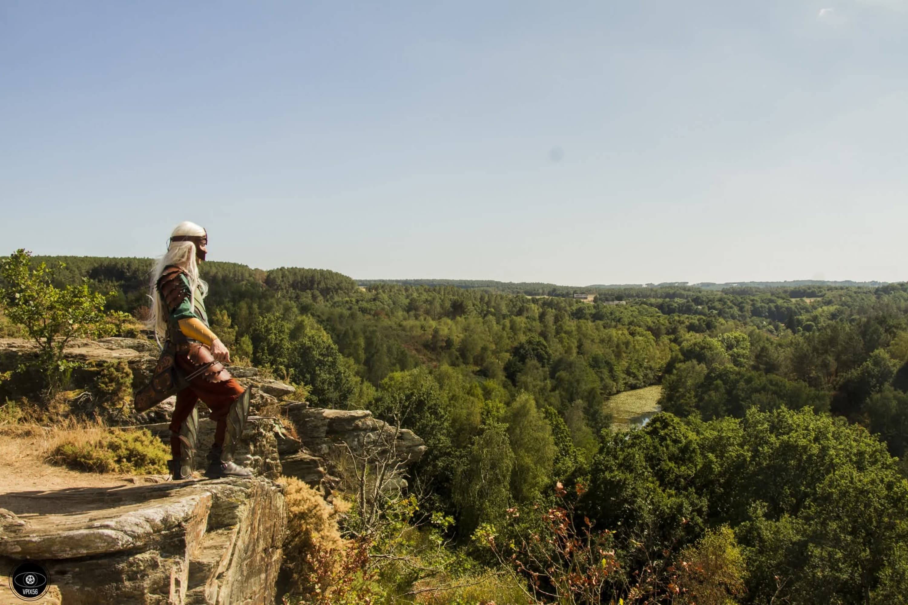 Elle sylvestre - Photo 4